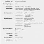 Lebenslauf Vorlage Zum Bearbeiten Erstaunlich Bsp Lebenslauf