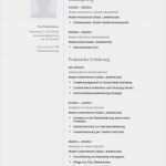 Lebenslauf Vorlage Zum Bearbeiten Wunderbar 17 Best Images About Bewerbung On Pinterest
