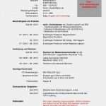 Lebenslauf Vorlage Zum Einfügen Elegant Fragt Den Karriere Coach