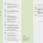 Lebenslauf Vorlage Zum Einfügen Süß Lebenslauf Praktikum Studentin Beispiele