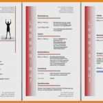 Lebenslauf Vorlagen Download Gratis Genial 8 Lebenslauf Vorlage Word