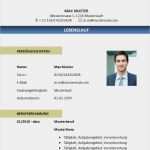 Lebenslauf Vorlagen Download Gratis Wunderbar Lebenslauf Beispiel Download Lebenslauf Beispiel