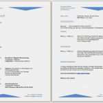 Lebenslauf Vorlagen Open Office Cool Lebenslauf Vorlage Openoffice Kostenlos – Vorlagen 1001