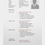 Lebenslauf Vorlagen Open Office Großartig Lebenslauf Vorlage 18 Bewerbungsschreiben