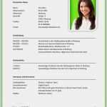 Lebenslauf Vorlagen Open Office Gut Tabellarischer Lebenslauf Schüler Vorlage Süß Lebenslauf
