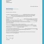 Lebenslauf Vorlagen Open Office Luxus 11 Platzierung Open Fice Lebenslauf Vorlagen Download