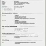 Lebenslauf Word Vorlage 2018 Bewundernswert Kostenlose Lebenslauf Muster Und Vorlagen Für Deine