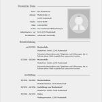 Lebenslauf Word Vorlage 2018 Schönste Lebenslauf 2018 Bewerbung