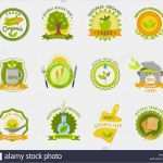 Lebensmittel Etiketten Vorlagen Fabelhaft Bio Lebensmittel Marken Etiketten Vorlagen Legen Sie Flach