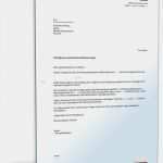 Lebensversicherung Kündigen Vorlage Erstaunlich Versicherung Kündigen Vorlage Allianz Kündigung Vorlage