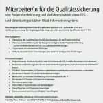 Leistungsbeurteilung Mitarbeiter Vorlage Fabelhaft Leistungsbeurteilung Mitarbeiter Vorlage Schön Gallery