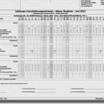 Leistungsnachweis Vorlage Beste Arbeitsstundennachweis Vorlage Kostenlos Wunderbar