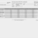 Leistungsnachweis Vorlage Luxus Leistungsnachweis Sgb Xi – Meinpfleg Nst