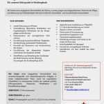 Leistungsverzeichnis Bau Vorlage Gut Lv Bewerbung Lv Bewerbung Rotes Kreuz Nieder 246 Sterreich