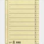 Leitz ordnerrücken Bedrucken Vorlage Angenehm Esselte Trennblätter A4 180g Qm Chamois