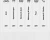 Leitz ordnerrücken Vorlage Word Luxus 53 Erstaunlich Leitz ordnerrücken Vorlage Word Bilder
