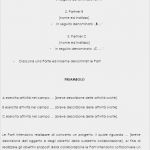 Letter Of Intent Vorlage Fabelhaft Loi Und Geheimhaltungsvereinbarung Italienisch Deutsch