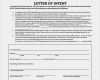 Letter Of Intent Vorlage Wunderbar Best 25 Letter Of Intent Ideas On Pinterest