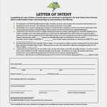 Letter Of Intent Vorlage Wunderbar Best 25 Letter Of Intent Ideas On Pinterest