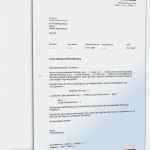 Letzte Mahnung Vorlage Süß Letzte Mahnung Muster Vorlage Zum Download