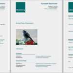 Libreoffice Flyer Vorlage Hübsch Www Initiativbewerbung De