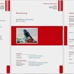 Libreoffice Vorlagen Lebenslauf Wunderbar Bewerbungsvorlagen Für Libreoffice