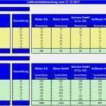 Lieferantenbewertung Vorlage Süß Lieferantenbewertung Mit Gewichtung