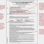 Lieferantenerklärung Vorlage Word Großartig Die Lieferantenerklärung Nach Verordnung Eg Nr 1207