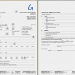 Lieferschein Vorlage Blanko Pdf Luxus Lieferschein 8 Lieferschein Vorlage Business Template