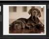 Lightroom Fotobuch Vorlagen Erstaunlich Das Monochrom Fine Art Inkjet Book