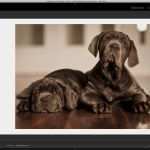 Lightroom Fotobuch Vorlagen Erstaunlich Das Monochrom Fine Art Inkjet Book