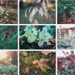 Lightroom Fotobuch Vorlagen Genial Lightroom Collagen Schnelle Vorlagen – Jennifer Wettig