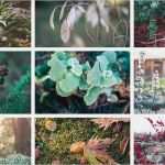 Lightroom Fotobuch Vorlagen Großartig Meine Lightroom Presets Für Shop