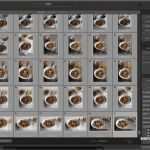 Lightroom Fotobuch Vorlagen Gut Food Vegetarisch