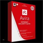 Lohn Gehaltsabrechnung Vorlage Kostenlos Wunderbar Lohn Gehaltsabrechnung Excel – Kundenbefragung Fragebogen