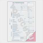 Lohn Und Gehaltsabrechnung Vorlage Erstaunlich Lohn Gehaltsabrechnung 507