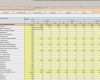 Lohnabrechnung Excel Vorlage Kostenlos Erstaunlich Excel tool Rs Controlling System