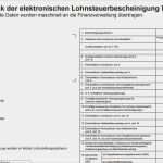 Lohnabrechnung Vorlage 2016 Luxus Muster Lohnsteuerbescheinigung 2017