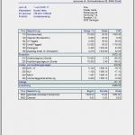 Lohnabrechnung Vorlage 2017 Schön Lohnabrechnung – Lohnabrechnungen