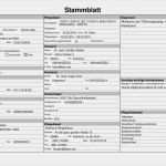 Lohnarbeit Nachweis Vorlage Pdf Einzigartig Vorlagen – Meinpfleg Nst