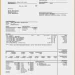 Lohnzettel Vorlage Elegant 13 Muster Gehaltsabrechnung