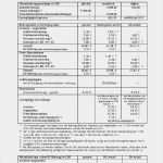 Lohnzettel Vorlage Pdf Best Of tolle Vorlage Eines Lohnzettel Zeitgenössisch Bilder Für