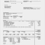 Lohnzettel Vorlage Pdf Cool Datev