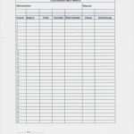 Lohnzettel Vorlage Pdf Einzigartig Datev Abrechnung Der Brutto Netto Bezüge Download Datev