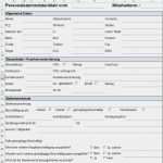 Lohnzettel Vorlage Pdf Erstaunlich Vorlage formular Für Personalstammdatenblatt