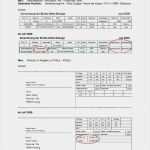 Lohnzettel Vorlage Pdf Hübsch Datev Abrechnung Der Brutto Netto Bezüge Download Datev