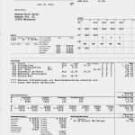 Lohnzettel Vorlage Pdf Schön Datev Abrechnung Der Brutto Netto Bezüge Download Datev