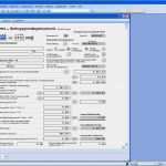 Lohnzettel Vorlage Pdf Wunderbar Datev Abrechnung Der Brutto Netto Bezüge Download Datev