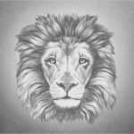 Löwe Tattoo Vorlage Luxus Genug Löwe Tattoo Vorlage Ds16