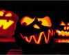 Lustige Kürbisgesichter Vorlagen Hübsch Halloween Kürbisse — Rezepte Suchen